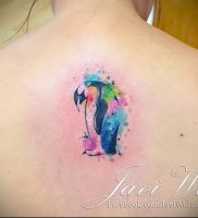 Фото тату пингвин — 05062017 — пример — 092 Tattoo penguin