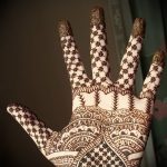 Фото Мехенди на ладони - 17062017 - пример - 072 Mehendi in the palm of your hand