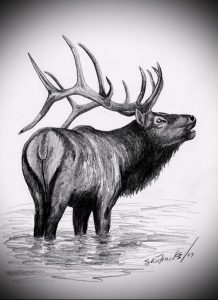 Фото тату лось - 30052017 - пример - 006 tattoo elk