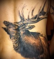 Фото тату лось — 30052017 — пример — 007 tattoo elk
