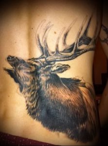 Фото тату лось - 30052017 - пример - 007 tattoo elk