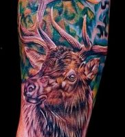 Фото тату лось — 30052017 — пример — 009 tattoo elk