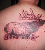 Фото тату лось — 30052017 — пример — 010 tattoo elk