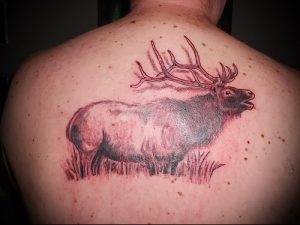 Фото тату лось - 30052017 - пример - 010 tattoo elk
