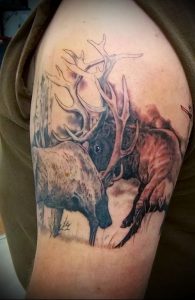 Фото тату лось - 30052017 - пример - 013 tattoo elk