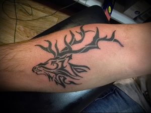 Фото тату лось - 30052017 - пример - 015 tattoo elk