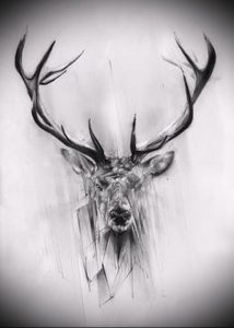 Фото тату лось - 30052017 - пример - 020 tattoo elk