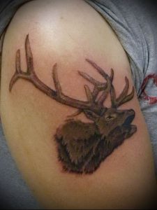 Фото тату лось - 30052017 - пример - 037 tattoo elk