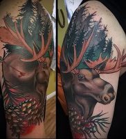 Фото тату лось — 30052017 — пример — 051 tattoo elk