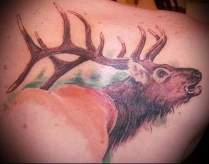 Фото тату лось - 30052017 - пример - 056 tattoo elk