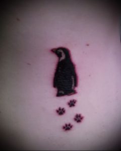 Фото тату пингвин - 05062017 - пример - 034 Tattoo penguin