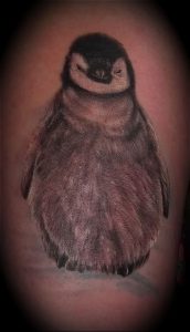 Фото тату пингвин - 05062017 - пример - 086 Tattoo penguin