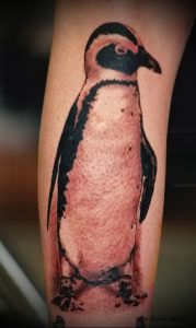 Фото тату пингвин - 05062017 - пример - 087 Tattoo penguin