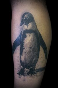 Фото тату пингвин - 05062017 - пример - 102 Tattoo penguin