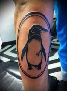 Фото тату пингвин - 05062017 - пример - 106 Tattoo penguin