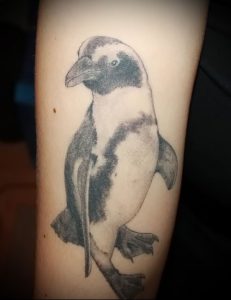 Фото тату пингвин - 05062017 - пример - 108 Tattoo penguin