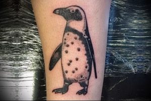 Фото тату пингвин - 05062017 - пример - 113 Tattoo penguin