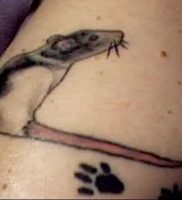 фото тату крыса от 27.07.2017 №081 — Rat tattoo_tattoo-photo.ru