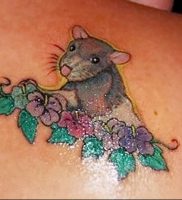 фото тату крыса от 27.07.2017 №082 — Rat tattoo_tattoo-photo.ru