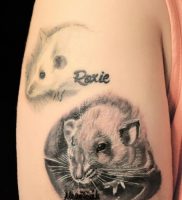 фото тату крыса от 27.07.2017 №083 — Rat tattoo_tattoo-photo.ru