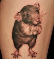 фото тату крыса от 27.07.2017 №088 — Rat tattoo_tattoo-photo.ru