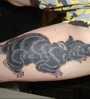 фото тату крыса от 27.07.2017 №088 — Rat tattoo_tattoo-photo.ru 2342423434 123131