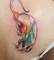 фото тату крыса от 27.07.2017 №096 — Rat tattoo_tattoo-photo.ru