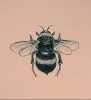 фото тату шмель от 29.07.2017 №017 — Tattoo bumblebee_tattoo-photo.ru