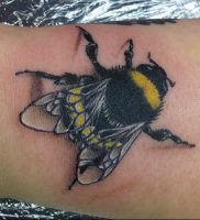 фото тату шмель от 29.07.2017 №019 — Tattoo bumblebee_tattoo-photo.ru