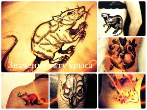 Значение тату крыса - фото примеры рисунков для татуировки