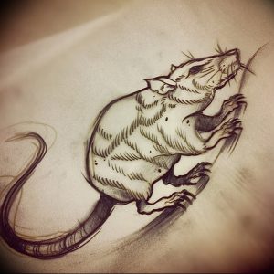 фото тату крыса от 27.07.2017 №001 - Rat tattoo_tattoo-photo.ru