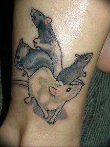 фото тату крыса от 27.07.2017 №003 - Rat tattoo_tattoo-photo.ru
