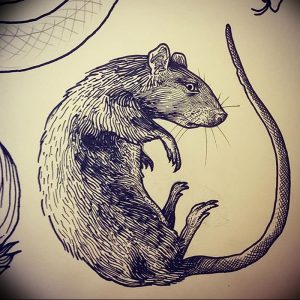 фото тату крыса от 27.07.2017 №017 - Rat tattoo_tattoo-photo.ru