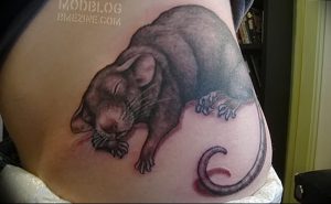 фото тату крыса от 27.07.2017 №028 - Rat tattoo_tattoo-photo.ru