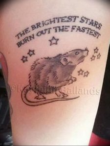 фото тату крыса от 27.07.2017 №032 - Rat tattoo_tattoo-photo.ru