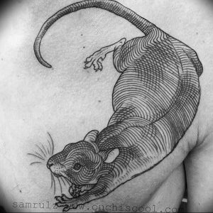 фото тату крыса от 27.07.2017 №036 - Rat tattoo_tattoo-photo.ru