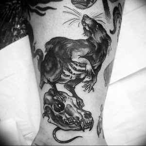 фото тату крыса от 27.07.2017 №045 - Rat tattoo_tattoo-photo.ru