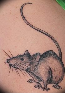 фото тату крыса от 27.07.2017 №050 - Rat tattoo_tattoo-photo.ru