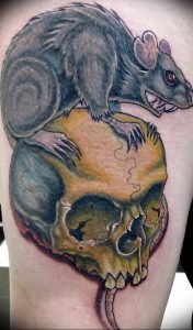 фото тату крыса от 27.07.2017 №053 - Rat tattoo_tattoo-photo.ru