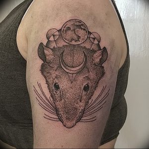 фото тату крыса от 27.07.2017 №060 - Rat tattoo_tattoo-photo.ru