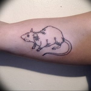 фото тату крыса от 27.07.2017 №063 - Rat tattoo_tattoo-photo.ru
