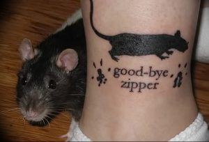 фото тату крыса от 27.07.2017 №078 - Rat tattoo_tattoo-photo.ru