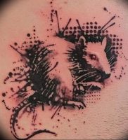 фото тату крыса от 27.07.2017 №079 — Rat tattoo_tattoo-photo.ru