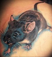 фото тату крыса от 27.07.2017 №080 — Rat tattoo_tattoo-photo.ru