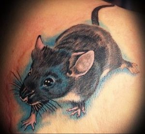 фото тату крыса от 27.07.2017 №080 - Rat tattoo_tattoo-photo.ru