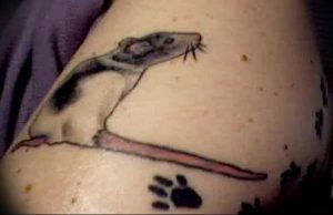 фото тату крыса от 27.07.2017 №081 - Rat tattoo_tattoo-photo.ru