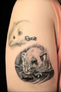 фото тату крыса от 27.07.2017 №083 - Rat tattoo_tattoo-photo.ru