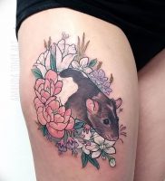 фото тату крыса от 27.07.2017 №085 — Rat tattoo_tattoo-photo.ru
