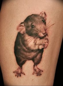 фото тату крыса от 27.07.2017 №088 - Rat tattoo_tattoo-photo.ru