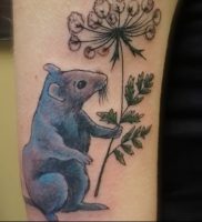 фото тату крыса от 27.07.2017 №091 — Rat tattoo_tattoo-photo.ru